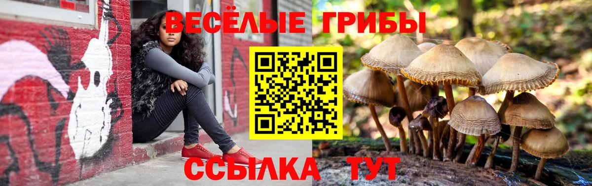 Галлюциногенные грибы Magic Shrooms  Вход с VPN  Псилоцибиновые грибы ЛСД  Каспийск 